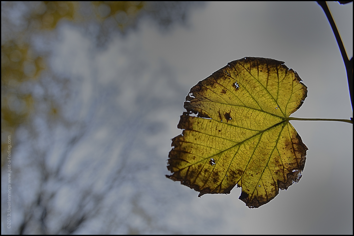 2013 12 Lissabon 6690 1kl