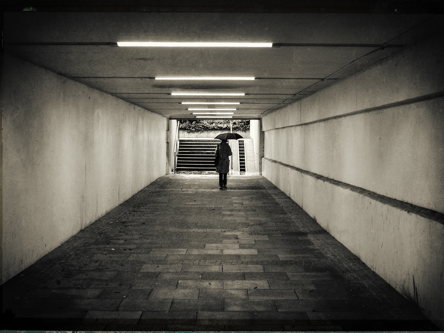 2013 DIVERSE PANA 0633kl