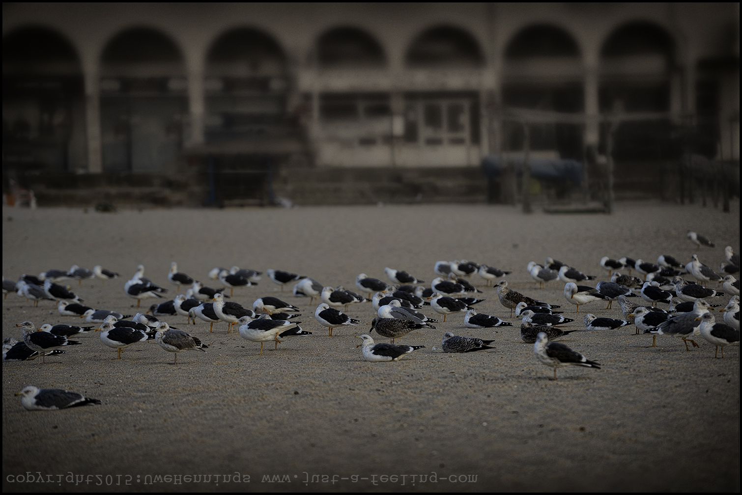 2014 12 Lissabon 3691kl